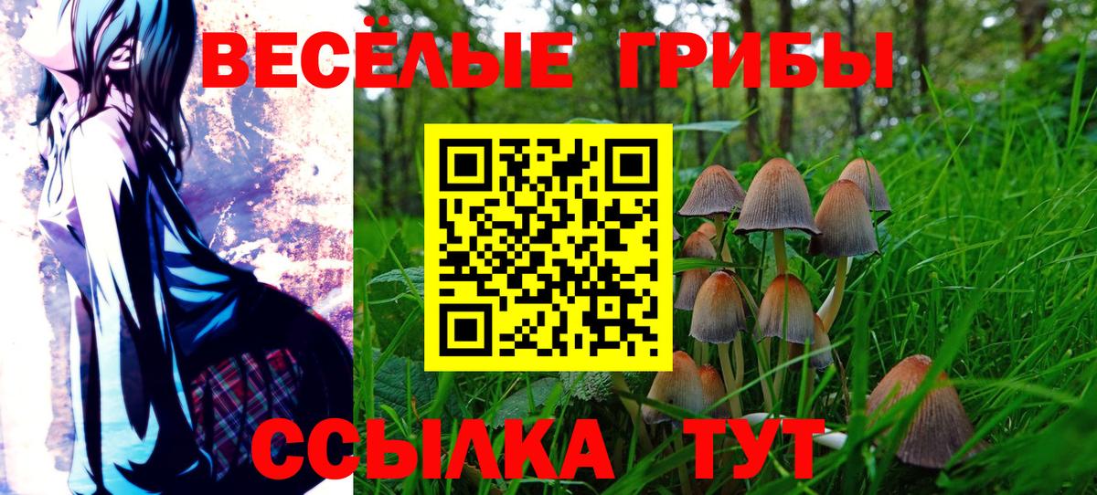 Псилоцибиновые грибы Cubensis Ноябрьск